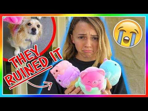 THEY RUINED IT FOR ME! | We Are The Davises