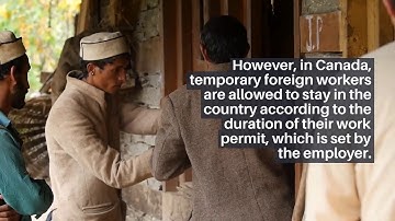 Canada’s immigration policies focusing on AI talent - Immigtoronto