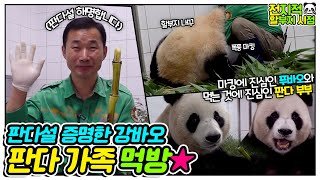 [Omniscient grandpa viewpoint] Grandpa eat a bamboo? Fubao family Mukbang🐼│Everland Panda Fubao