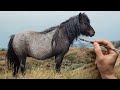 Horse Painting Time-Lapse | One layer, Wet in Wet