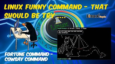 2 Fun Linux Commands to Try When You