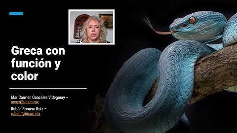 Greca con función y color con Python Turtle