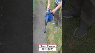 杂草高温蒸汽去除法Remove weeds with steam cleaner #Shorts