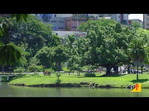 Vídeo: Características do Solo Urbano - Dicas de Jardinagem Urbana em Solo Ruim