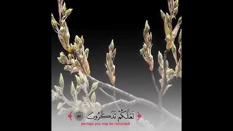 حالات واتس اب الشيخ عبدالرحمن السديس ايات من القران الكريم