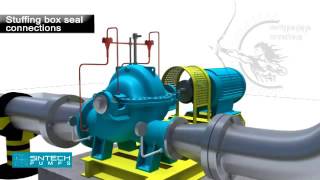 Celebrity Multistage pump animatics Wealth