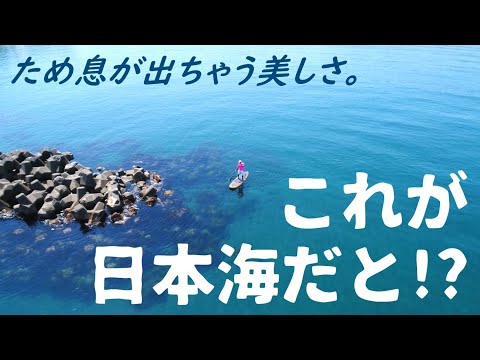 小竹屋旅館 新潟県柏崎市の旅館 旅行と宿のクリップ 小竹屋旅館 新潟県柏崎市の旅館 旅行と宿のクリップ