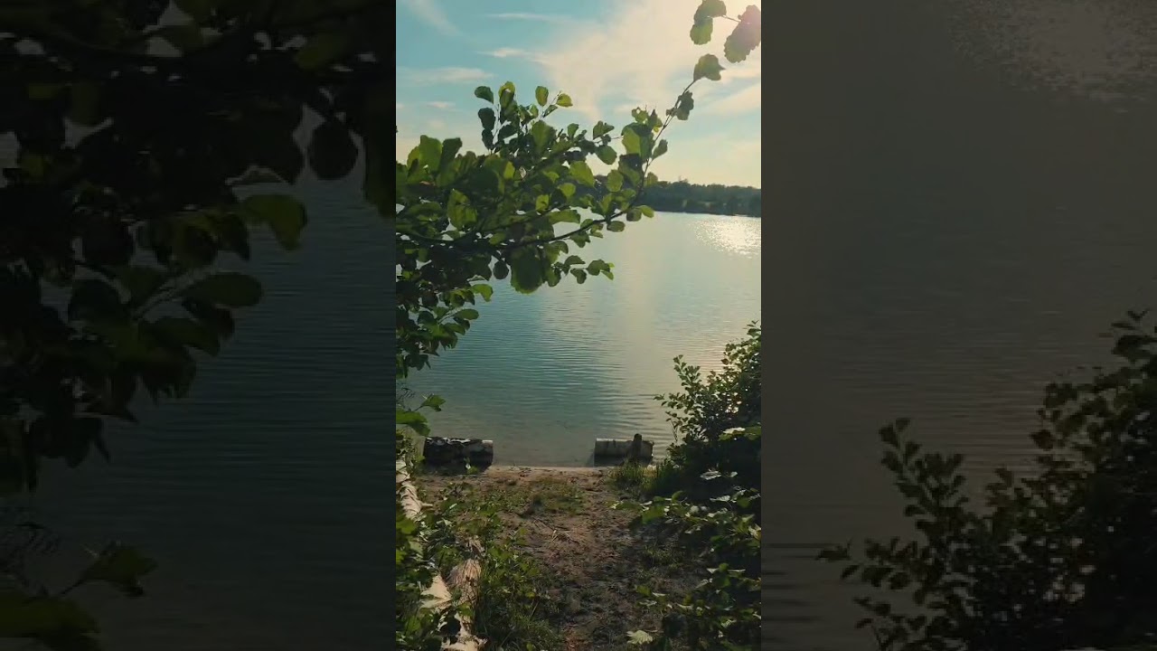 Odłóżmy jeszcze myśli o końcu wakacji i zanurzmy się w naturze! 🌳☀️