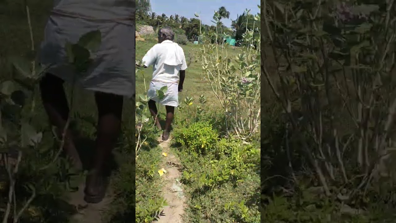 3 acre free service kinaru 1 acre 17 laksh thellar to desur road 