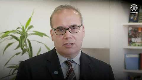 Interview with Máximo Torero on food loss and waste