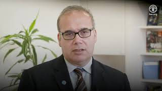 Interview with Máximo Torero on food loss and waste