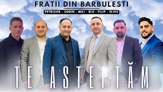 Frați din Barbulesti - TE AȘTEPTĂM - Petrișor ❌ Sorin ❌ Biji ❌ Mili ❌ Filip ❌ Elvis Moise