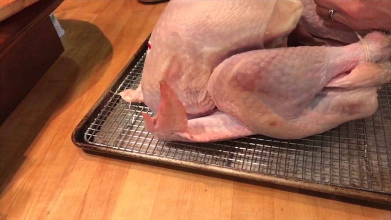 How to truss a turkey a Tasty Thursday video YouTube