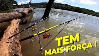 TILÁPIA QUE VIVEM NAS CORREDEIRAS DO RIO! Monstros Selvagens! Pescaria