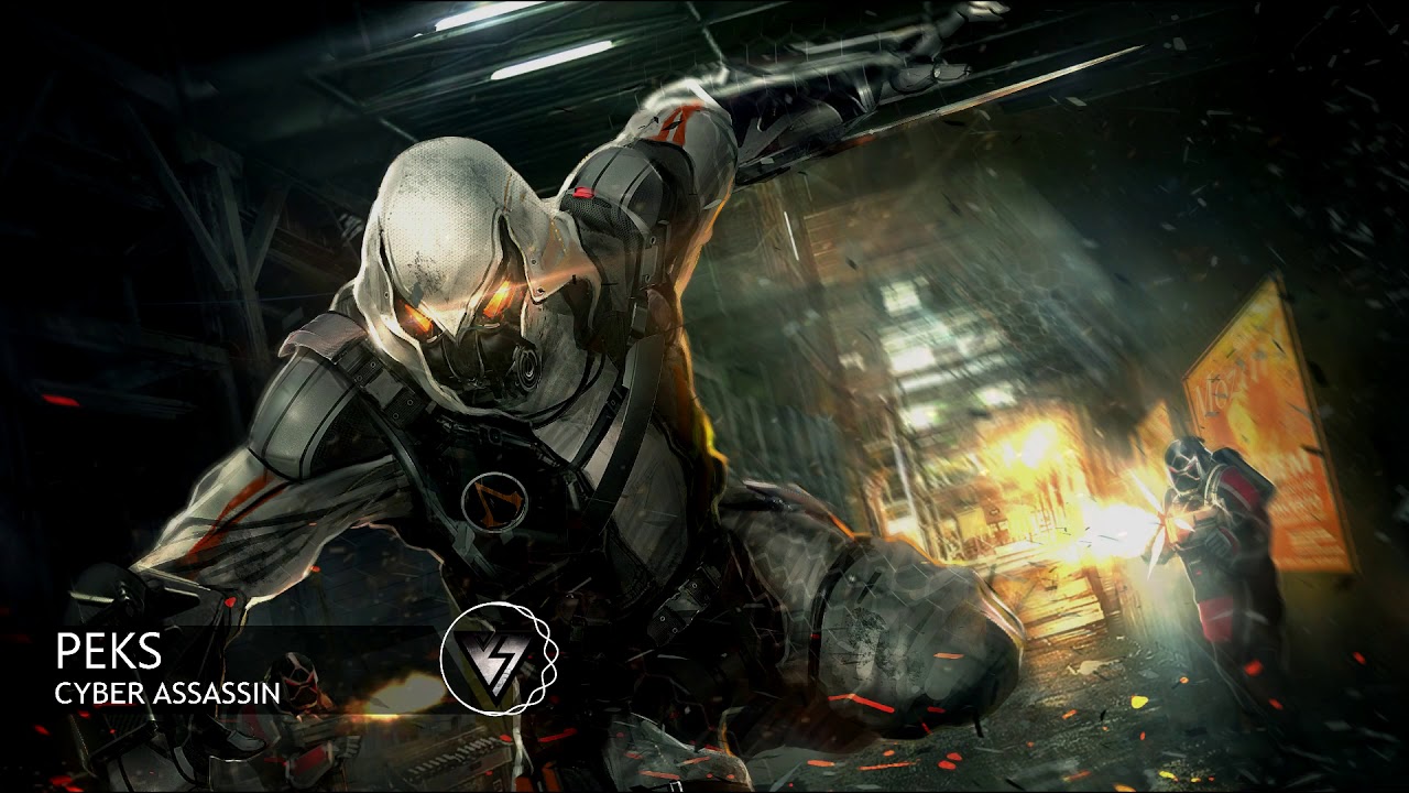Cyber Assassin