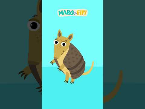 TATU | Série Formas @maboefifi #desenhoinfantil