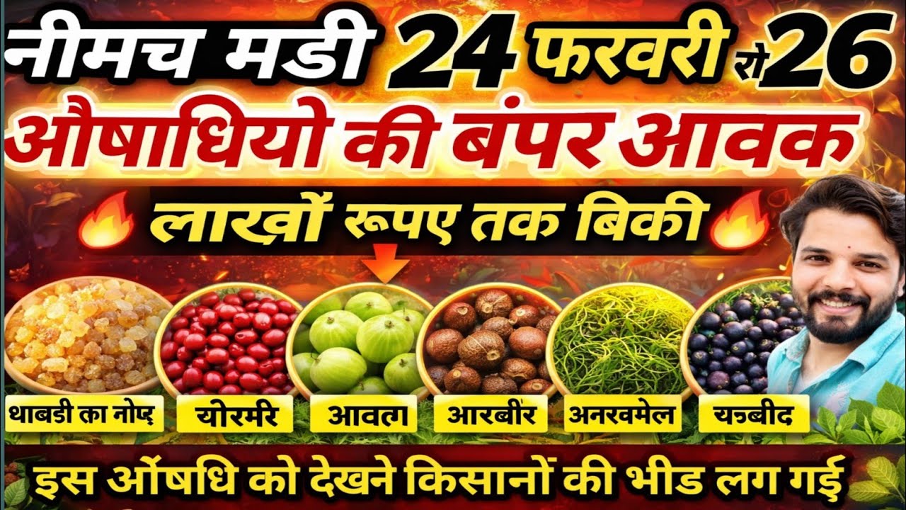 नीमच मंडी भाव। औषधी भाव। जड़ी बूटियों का भाव। Neemuch Mandi aushdhi bhav, herbal bhav neemuch 