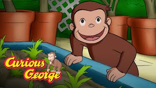 The Magic Garden 🐵 Curious George 🐵Kids Cartoon 🐵 Kids Movies 🐵Videos for Kids