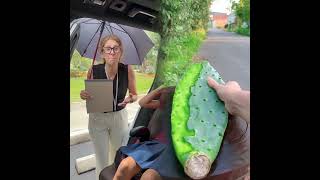 Help Does Londyn Deserve A Treat Or Grounding For This