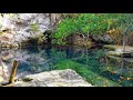 Cristalino Cenote in the Riviera Maya, Mexico (Xpu Ha, Quintana Roo, Mexico)