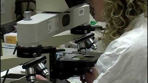 GBI DOFS Trace Evidence Overview