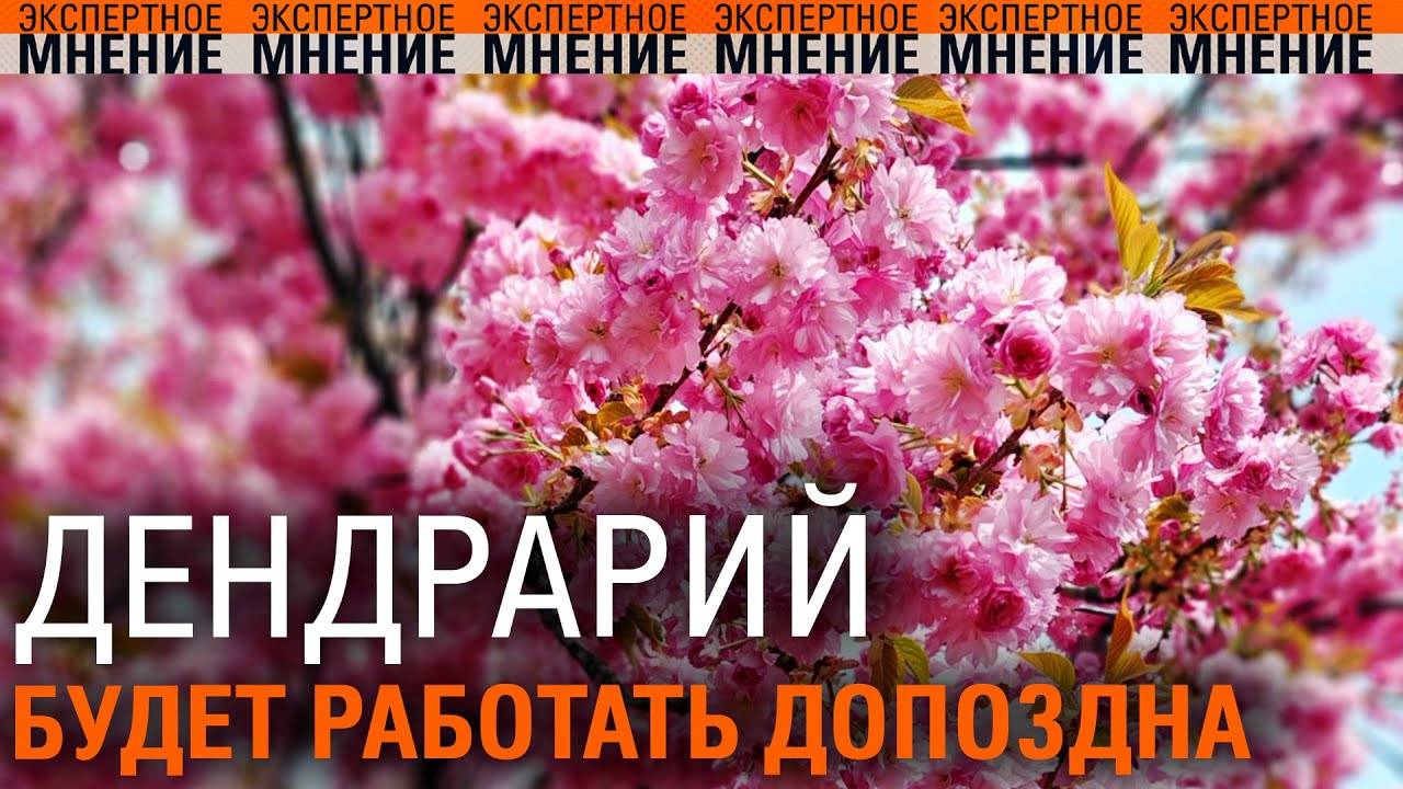Дендрарий будет работать допоздна. Ребёнок выпал из окна. Как косят ...