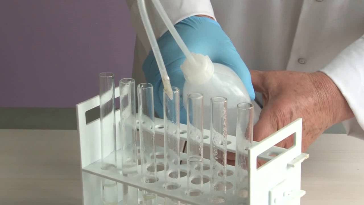 CHEMIA: Badanie właściwości białka