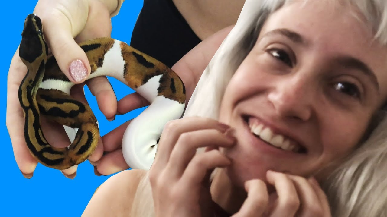 GORGEOUS BALL PYTHON UNBOXING PRANK !!! - YouTube