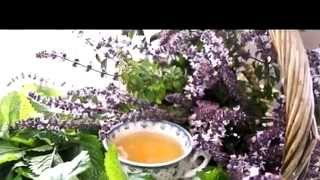 Купить в Минске монастырский чай Купить в Минске монастырский чай