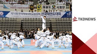 제14회 한국체대총장배 전국태권도대회 개회식 축하시범.avi