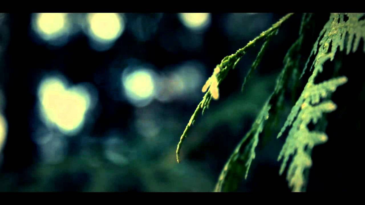 Canon Rebel T3i Footage YouTube