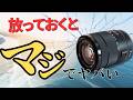 カメラやレンズがカビる前に。防湿庫とドライボックスの違いと選び方！