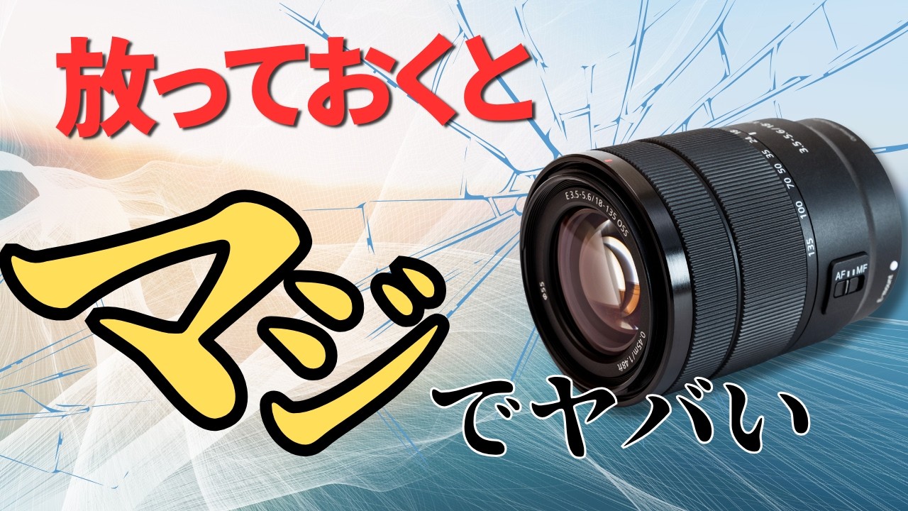 カメラやレンズがカビる前に。防湿庫とドライボックスの違いと選び方！