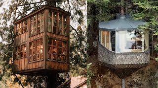 15 Next-Level Forest Houses