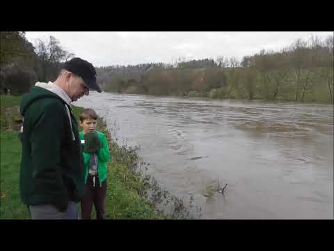 Very High River WYE in Gloucestershire, Frightening Floods in Lower Lydbrook, November 2019