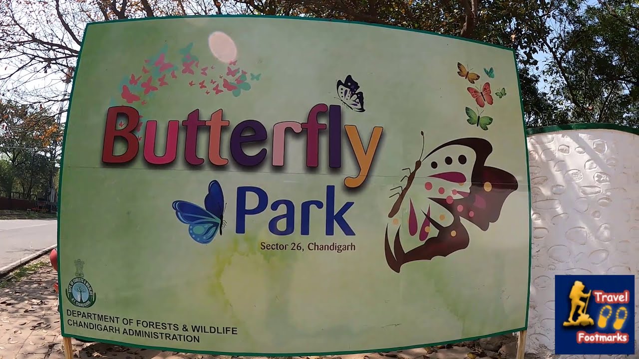 butterfly garden butterfly park sector 26 chandigarh youtube you 