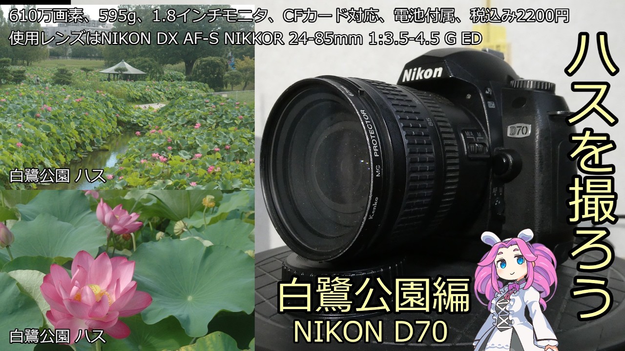 Nikon D70 Digital SLR for 2,200 Yen Including Tax: Introducing My