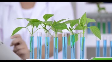 The Science of Soil Health: Cycle, Re-cycle, Repeat