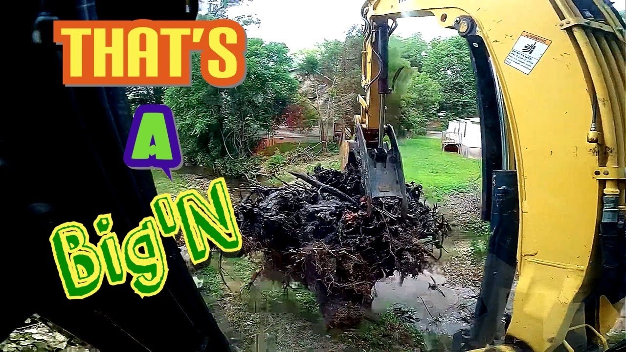 How To Remove Huge Tree Stump - YouTube