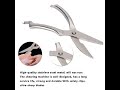 Kitchen gadget shear fish duck poultry scissor chicken bone cutter cook tool