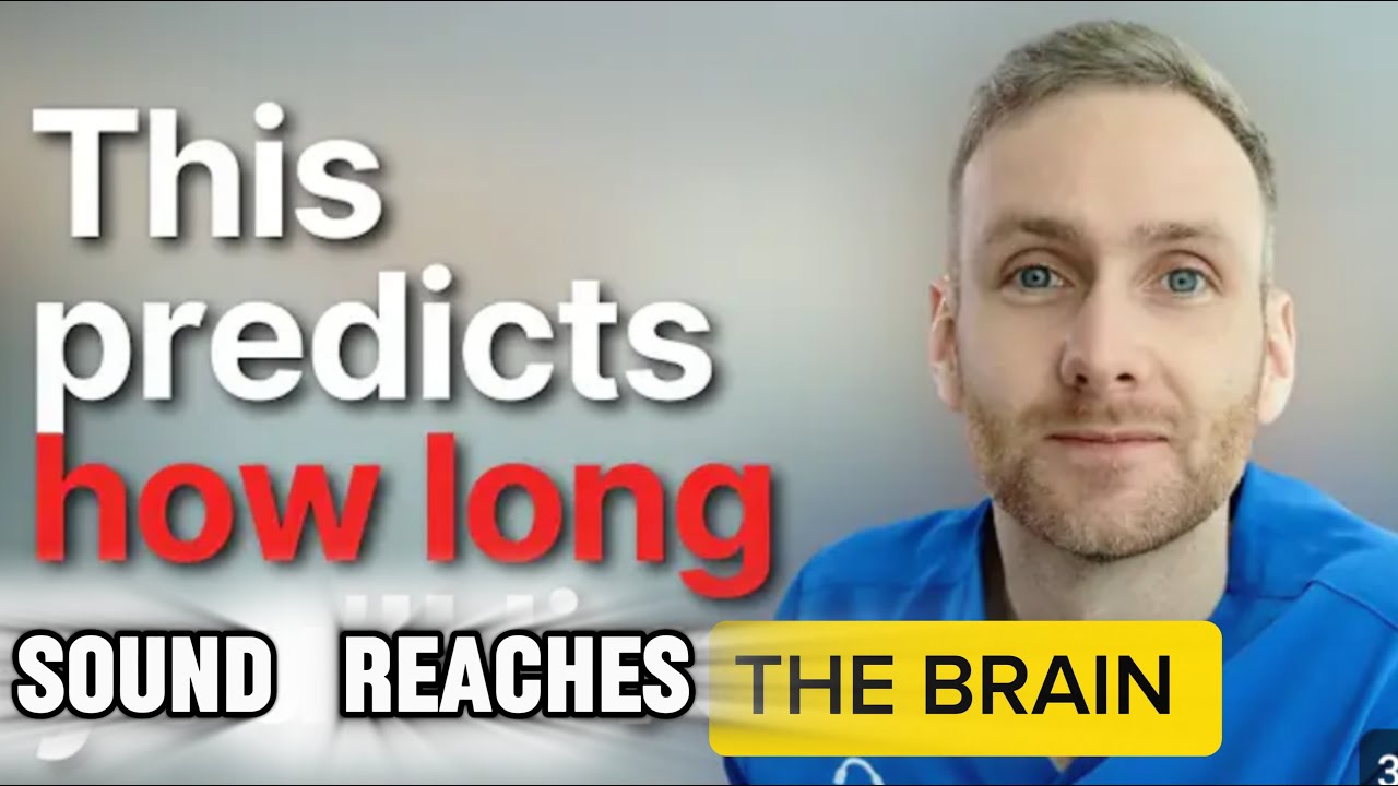 Educational Content: How Your Ear Talks to Your Brain_ 3D "