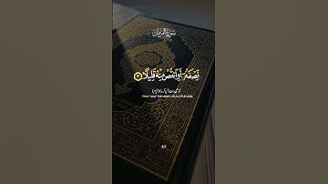 Surah Al-Muzzammil🌹ll سورة المزمل#quran #quranquotes #quranictranslation #qurantilawat #quranquotes