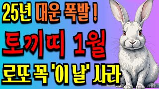 2025년 1월 토끼띠 운세 돈벼락 맞고 운명이 바뀐다ㅣ풍수ㅣ건강운ㅣ재물운