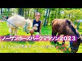 【マラソン】絶対に行きたい参加賞&おもてなしがすごいノーザンホースパークマラソン【北海道】【旅ラン】【ランニング】【トレラン】【元陸上自衛官 福島和可菜