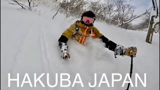 The week with 150 cm of fresh snow - Hakuba Japan 2023 I VLOG 124