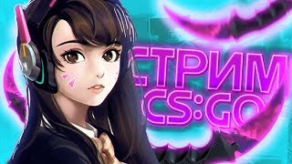 🥵ДЕВУШКА ИГРАЕТ В CS:GO | ОБНОВЛЕНИЕ КС 10 ЛЕТ, ИГРАЕМ В КСГО, ксго, cs:go, стрим кс го😈😼🍑👻👹