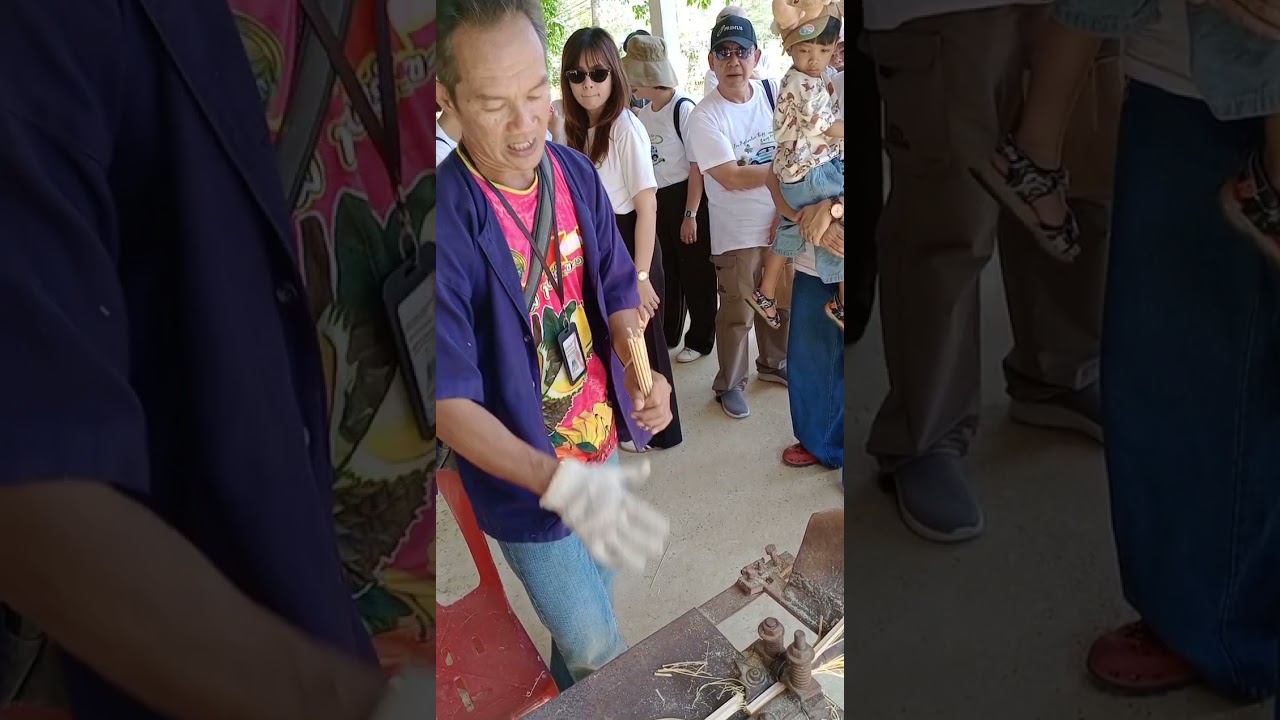 บ้านนาต้นจั่น พิษณุโลก สุโขทัย #onedaytrip #travel #lifeisbutadream #history 