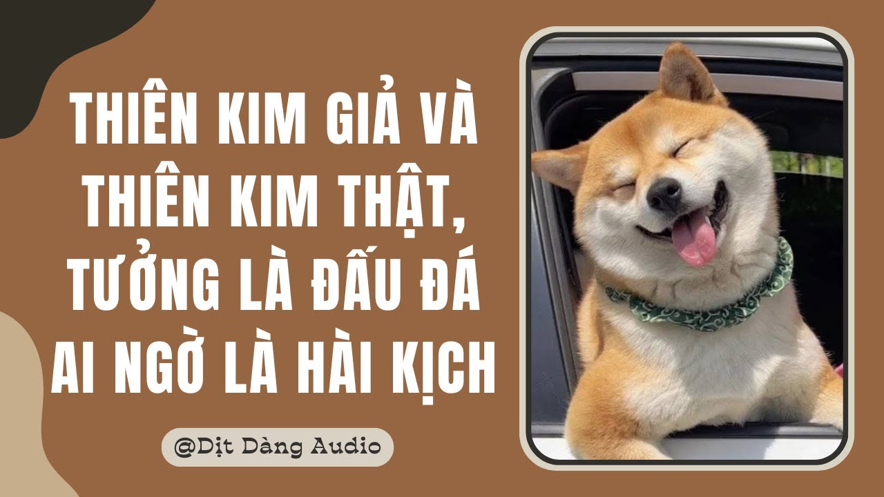 [TRUYỆN AUDIO] Thiên Kim Giả Và Thiên Kim Thật, Tưởng Là Đấu Đá Ai Ngờ Là Hài Kịch | Dịt Dàng Audio