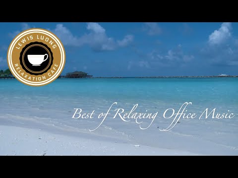 Soothing Tunes of Music For Office Work and Productivity 📈🎶