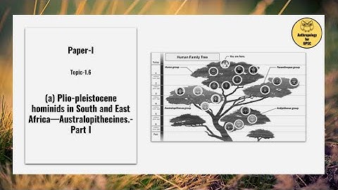 Paper-I, Topic-1.6 (a) Plio-pleistocene hominids in South and East Africa—Australopithecines- Part I
